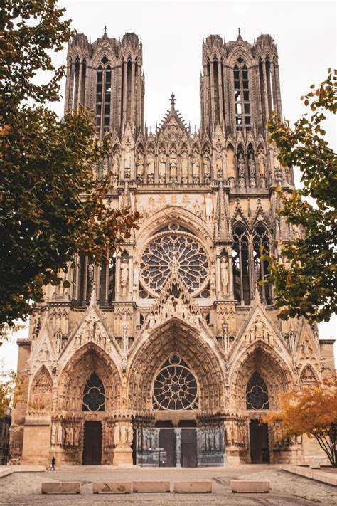 Reims Champagne: Your Very Best Guide - Dream Plan Experience