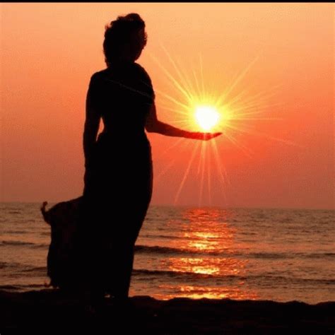 Sunset Silhouette GIF - Sunset Silhouette Sun - Discover & Share GIFs ...