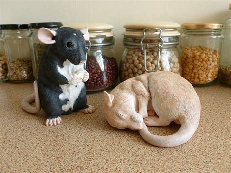 Pair of Rat Sculptures by philosophyfox on DeviantArt