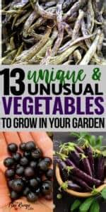 13 Unique and Unusual Vegetables for Your Garden