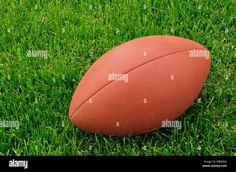 American football on a grass playing field Stock Photo - Alamy