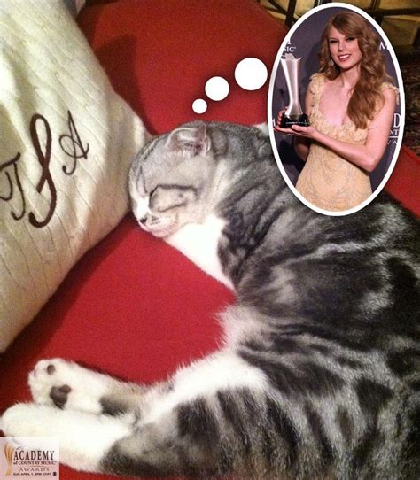 Taylor Swift Fans Indonesia: Meredith and ACM Voting