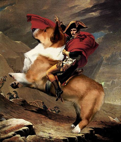 Napoleon riding a corgi | Funny | Pinterest | Corgi