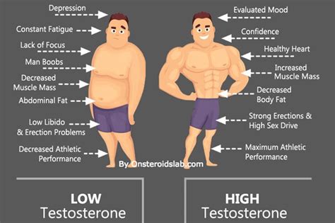 10 Foods that Boost Testosterone Levels Naturally - Food Corner