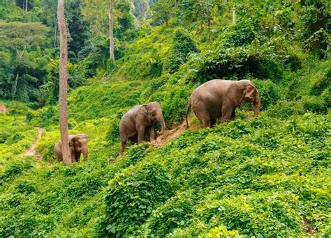 An adventure for every age! Backpacking in Thailand - My Thailand Tours