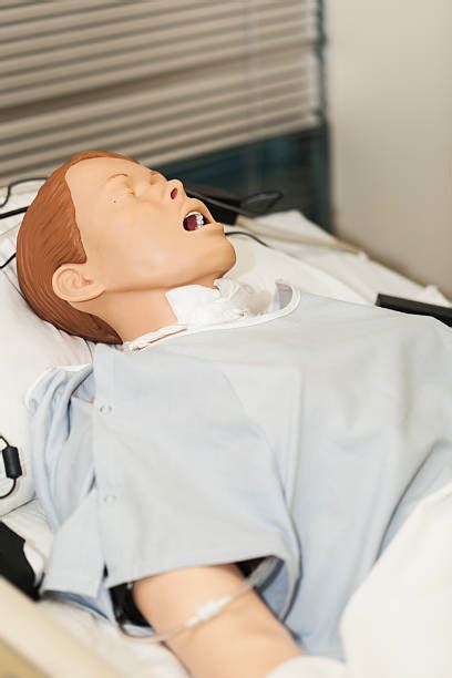 Best Medical Simulation Mannequins Stock Photos, Pictures & Royalty-Free Images - iStock