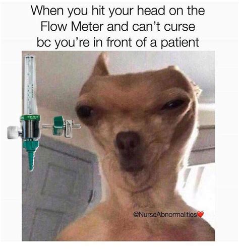 These Nurse Memes Are Absolutely Exhausted (100 pics) - Izismile.com