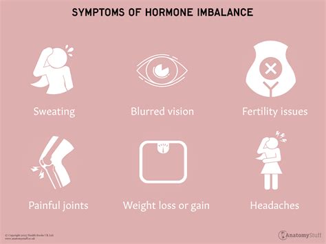 Understanding Hormones | Hormone Imbalance | AnatomyStuff