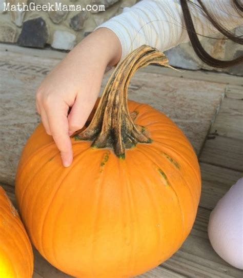 How Many Seeds in a Pumpkin? Fall Estimation Fun!