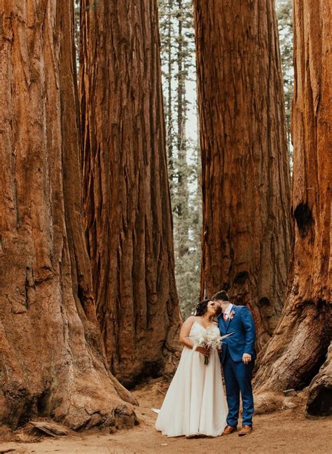 Beetle-rock-sequoia-national-park | Sequoia national park, Elopement ...