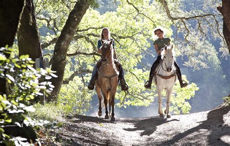 Where to Go Horseback Riding near Springfield, MO