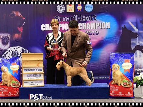 Champion of Champion Dog Show 2019 – Ars-Viva