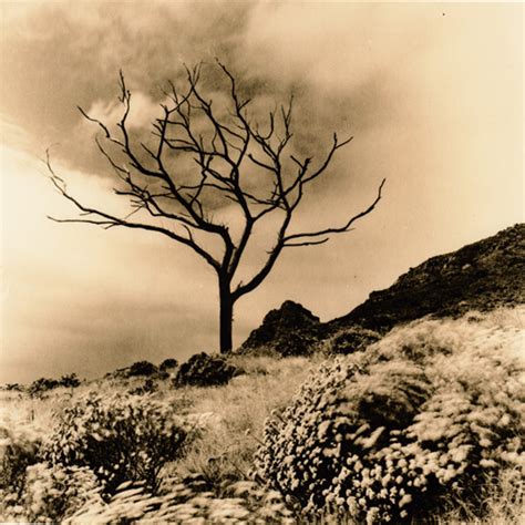 An Introduction To Lith Printing In The Darkroom - The Orms ...