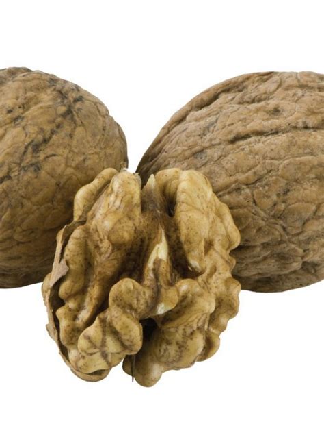 Black Walnut Hulls Juglans Nigra (Black Walnut) Shell Extract ...