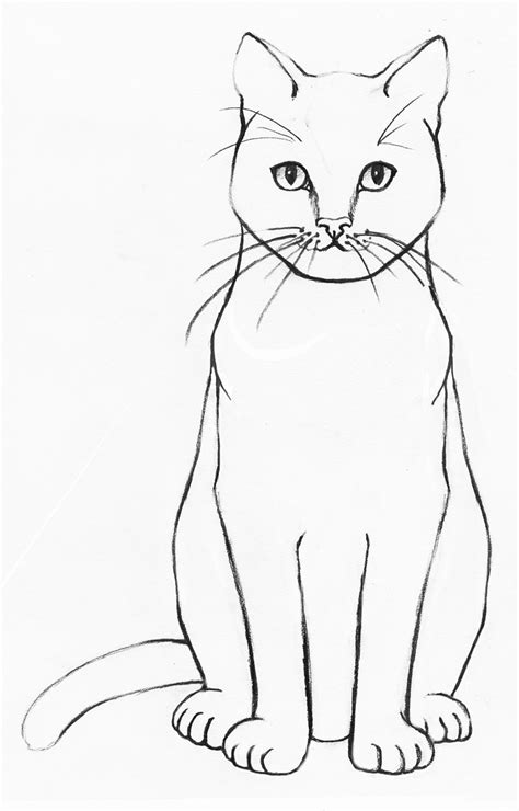 How to Draw a Realistic Cat Step-by-step - Udemy Blog