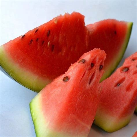 Watermelon, Crimson Sweet | Siskiyou Seeds