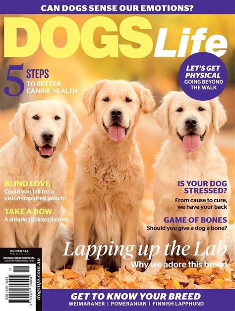 Dogs Life Magazine