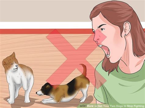 How to Get Your Two Dogs to Stop Fighting (with Pictures)