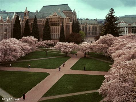 university of washington