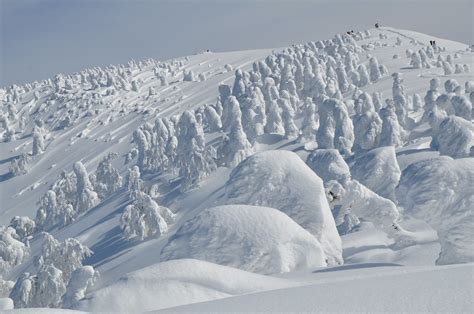 Juhyo: The Snow Monsters of Japan ~ Kuriositas