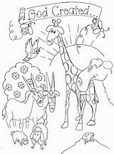 Free Printable Coloring Pages Of Creation Story  Home sketch template