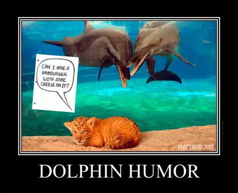 Dolphin Puns