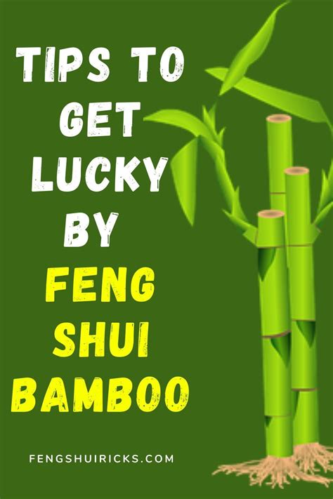 How To Get Lucky By Feng Shui Bamboo- Complete Guide | Lucky bamboo plants, Lucky bamboo, Feng shui