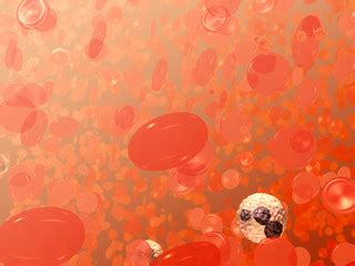 Red Blood Cells Illustration | This is a field of blood cell… | Flickr