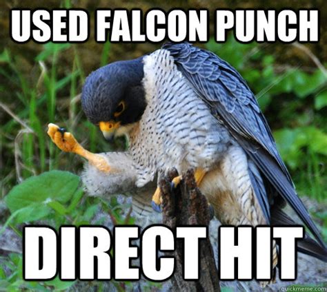 Dies Gets reincarnated as falcon - Success Falcon - quickmeme