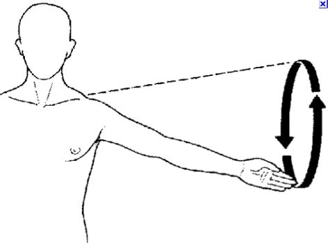 Physical Therapy Exercises: circumduction Exercise