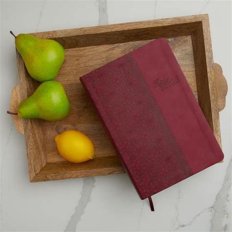 KJV Study Bible, Large Print, Red Letter Edition: Second Edition – ChurchSource