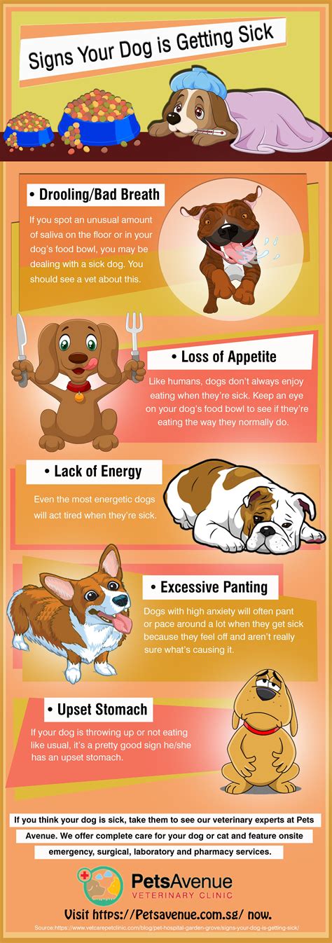 Here are few signs which will help you understand your dog’s health better. Example: lack of ...