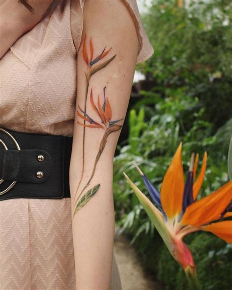 Bird of paradise flower tattoo on the upper arm.