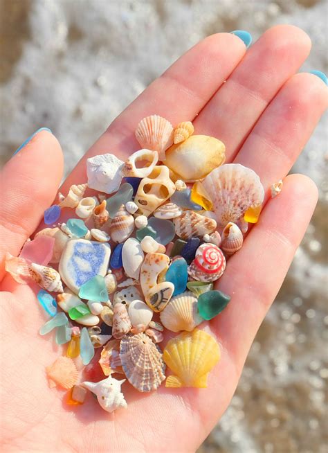 Craft Supplies & Tools 42 pieces of Vancouver Island Beach Treasures Sea glass Sea Shells ...