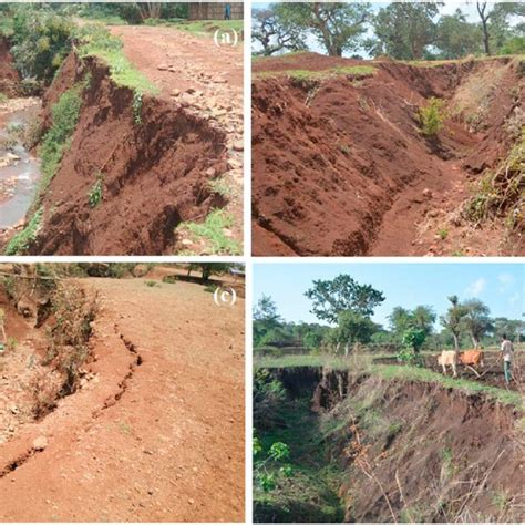 Changes in the total number of gullies between 1957 and 2016 or 2017 in... | Download Scientific ...