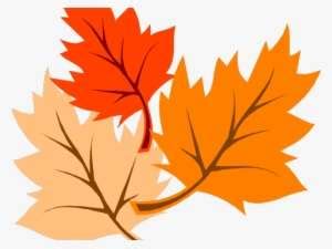 Autumn Leaves Clipart Corner Border - Fall Leaves Clip Art PNG Image ...