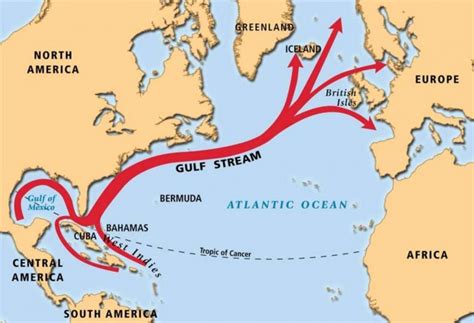 *North Atlantic* The Gulf Stream cools unusually, as low-pressure systems bring colder air out ...