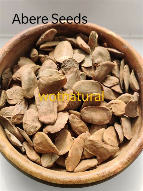 Abere Seeds (Hunteria Umbellata) – Wot Natural