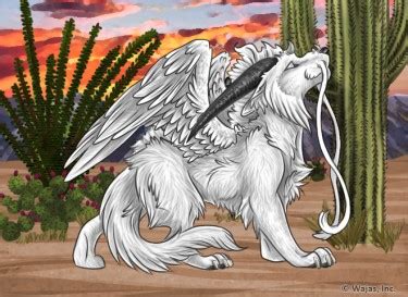 Sonoran Desert Sunset Wallpaper - The Wajas Wiki