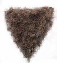 A BIT O'MUSLIN: The Illusive history of the Merkin