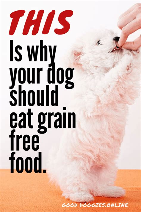 Benefits of grain free dog food | Free dog food, Grain free dog food, Grain free dog