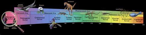 Phanerozoic Eon Introduction