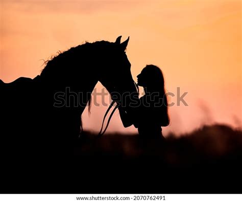 Silhouette friesian horse : 141 images, photos et images vectorielles de stock | Shutterstock