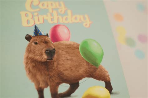 Capybara Party