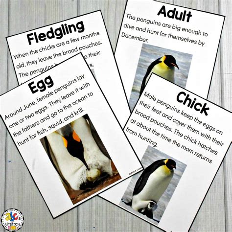 Penguin Activities for a Winter Animal Unit of Mini-Lesson