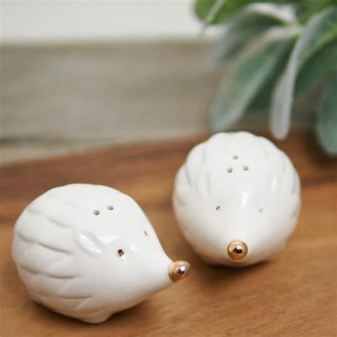 20++ Hedgehog Salt And Pepper Shakers - HOMYHOMEE