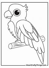 Printable Parrots Coloring Pages Updated 2021 sketch template