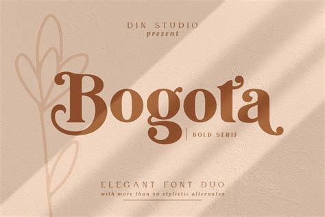 Bogota Bold Elegant Serif Font - Download Fonts