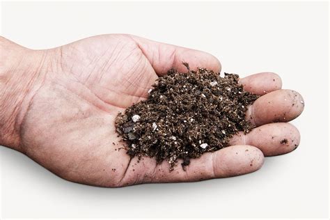 Soil on hand, environment isolated | Free Photo - rawpixel