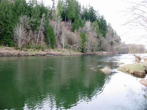 2016 Snoqualmie River Fishing Report - The Lunkers Guide